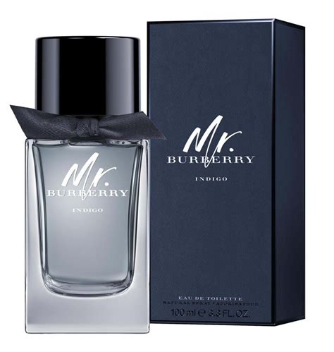 mr burberry indigo eau de toilette 30ml|mr burberry cologne.